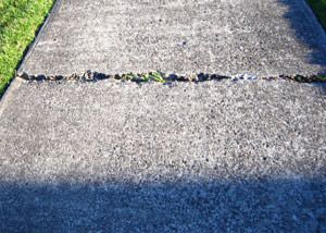 A sinking concrete sidewalk in need of mudjacking services in Buffalo.