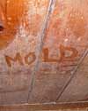 The word mold written with a finger on a moldy wood wall in Depew