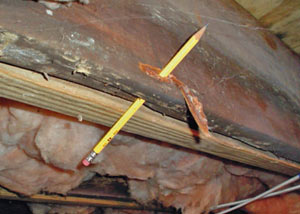 Destroyed crawl space structural wood in Eden