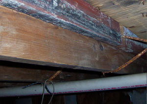 Rotting, decaying wood from mold damage in Youngstown