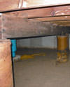 Mold and rot thriving in a dirt floor crawl space in Buffalo