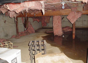 Fiberglass dripping off of the ceilings of a Tonawanda crawl space