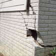foundation walls cracked due to settlement in Buffalo