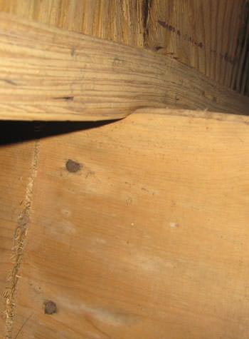 severe damage to a crawl space structure in a Depew home