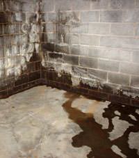 Water seeping through a concrete wall in a Elma basement