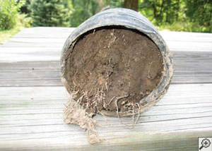 clogged french drain found in Cheektowaga, West Seneca, Dunkirk, Western New York